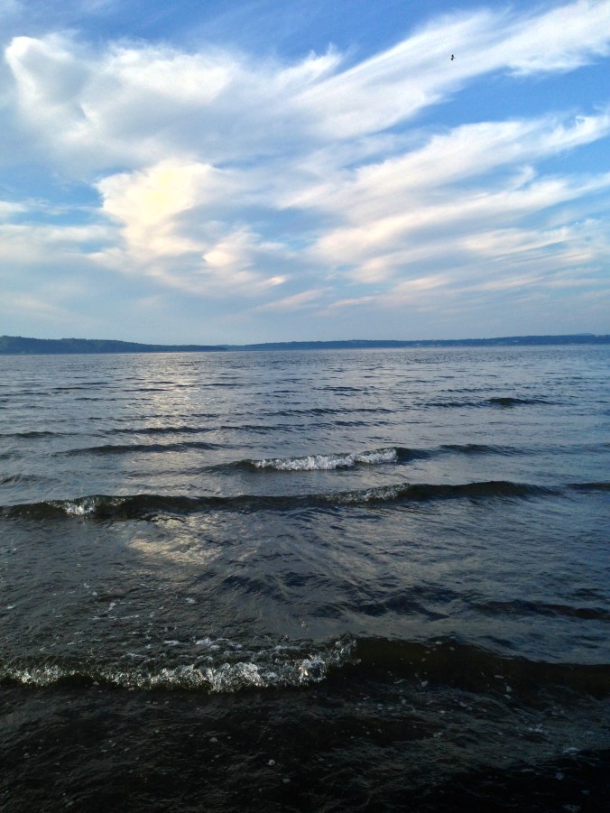 The calming waters of Elliott Bay from Dash Point State Park.