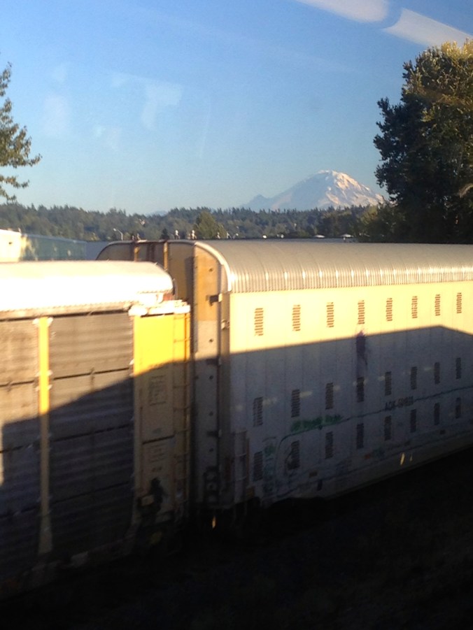 Rainier from the rails.