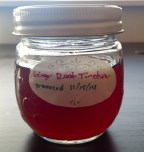 Ginger Root Tincture