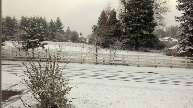 First snowfall of my first winter out here