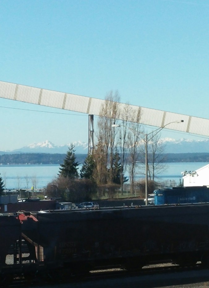 The Olympic Mountain range
