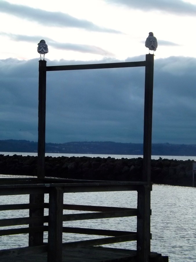 I love seagulls, even if no one else does.  These two standing guard made me smile.