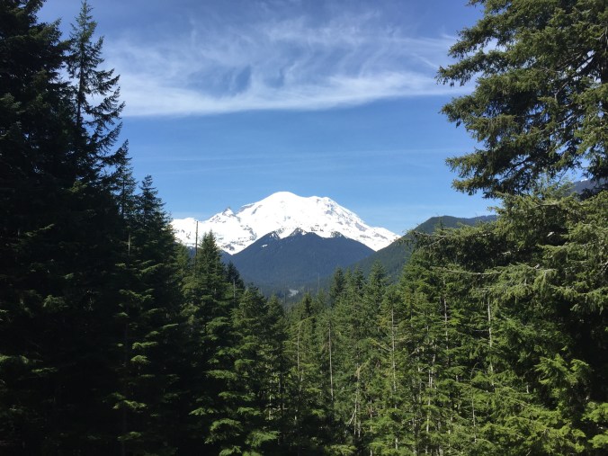Our next stop was the Mount Rainier viewpoint at about 3210 feet. A popular spot along the route, the view of the volcano and its glaciers is breathtaking.