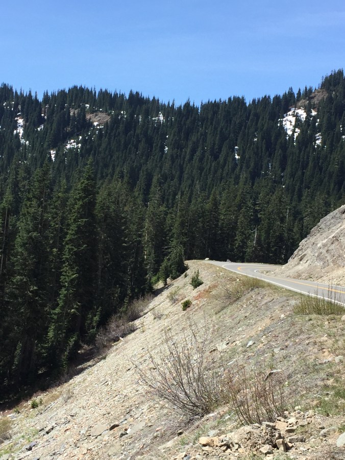 Our next stop was just a little pullover spot at about 4700 feet elevation. The roads here are a little unnerving!