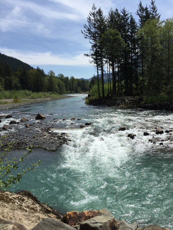 Our final stop of the morning was a place we first visited in January - the White River near Greenwater, WA.  Last time we were there, it was cloudy, but it was gloriously clear on this day. That blue water!