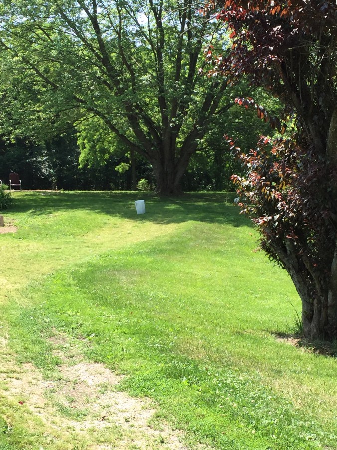 Photo from June 12, 2015 - where the house used to stand.