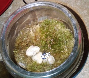 What a sad state of affairs for my 1945 Times Square kissing couple. 